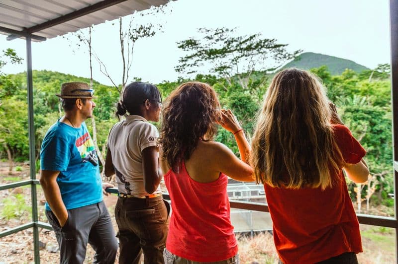 Excursion dans la forêt d'ébènes de l'île Maurice et observation des oiseaux