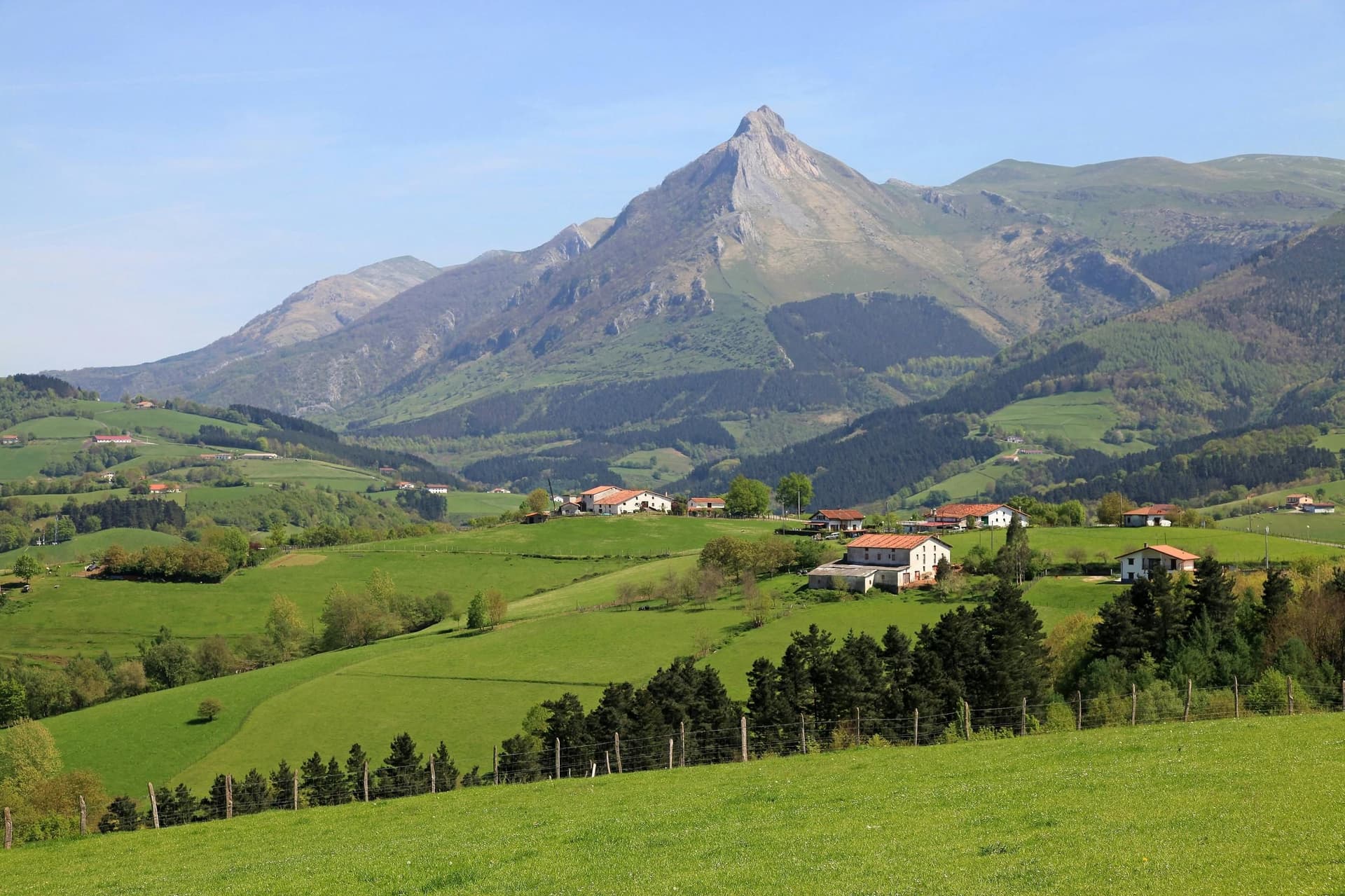 Visite du fromage basque Idiazabal au départ de Saint-Sébastien