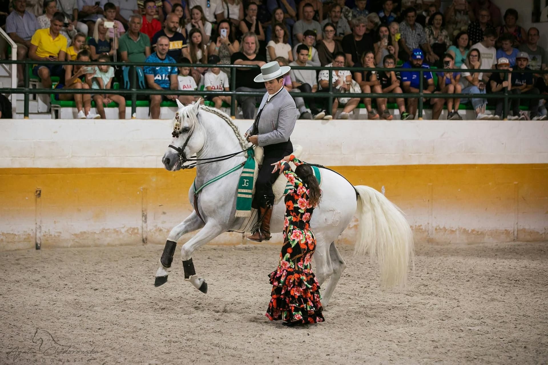 Spectacle de flamenco avec des chevaux andalous à Torremolinos