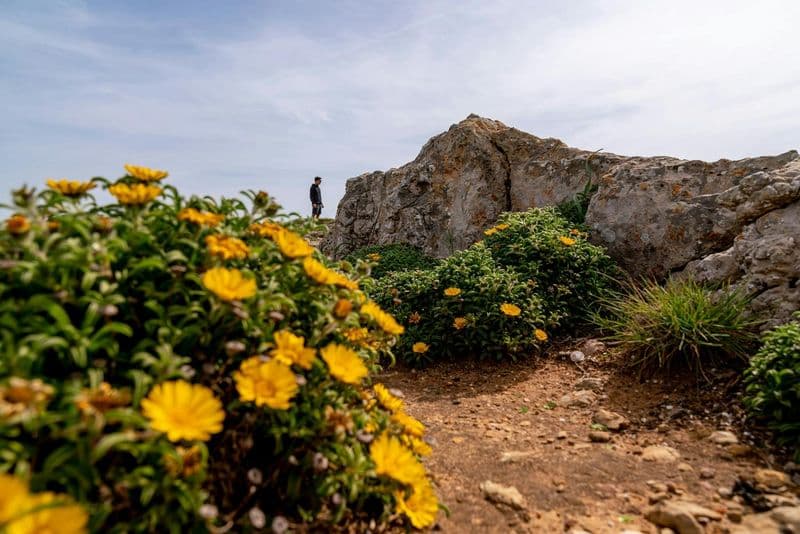 4x4 off-road half-day guided tour with wine tasting from Albufeira