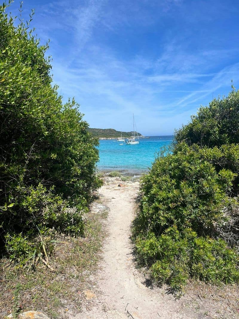Randonnée côtière sauvage autoguidée à Saint-Florent avec prise en charge