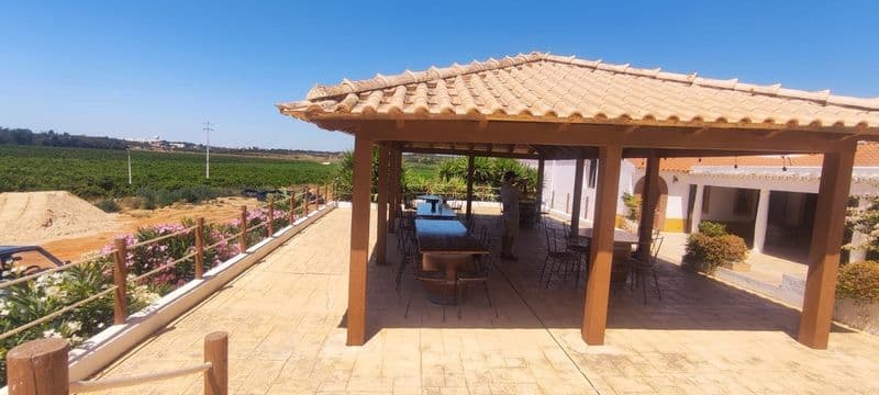 Excursion hors route avec dégustation de vins