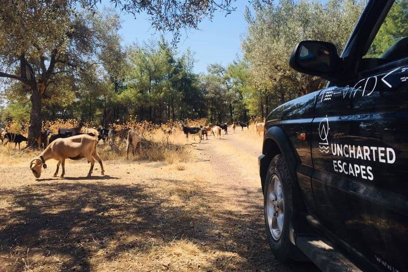 Explorez davantage Rhodes en 4x4 Route Sud