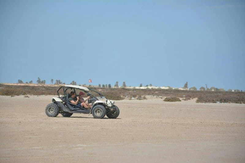 Aventure tout-terrain guidée en buggy à travers Djerba