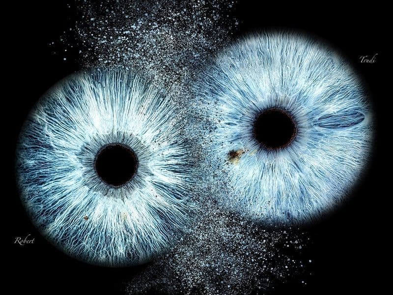 Photographie d'iris personnalisée avec livraison