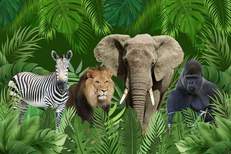 Billet d'entrée au zoo de Varsovie