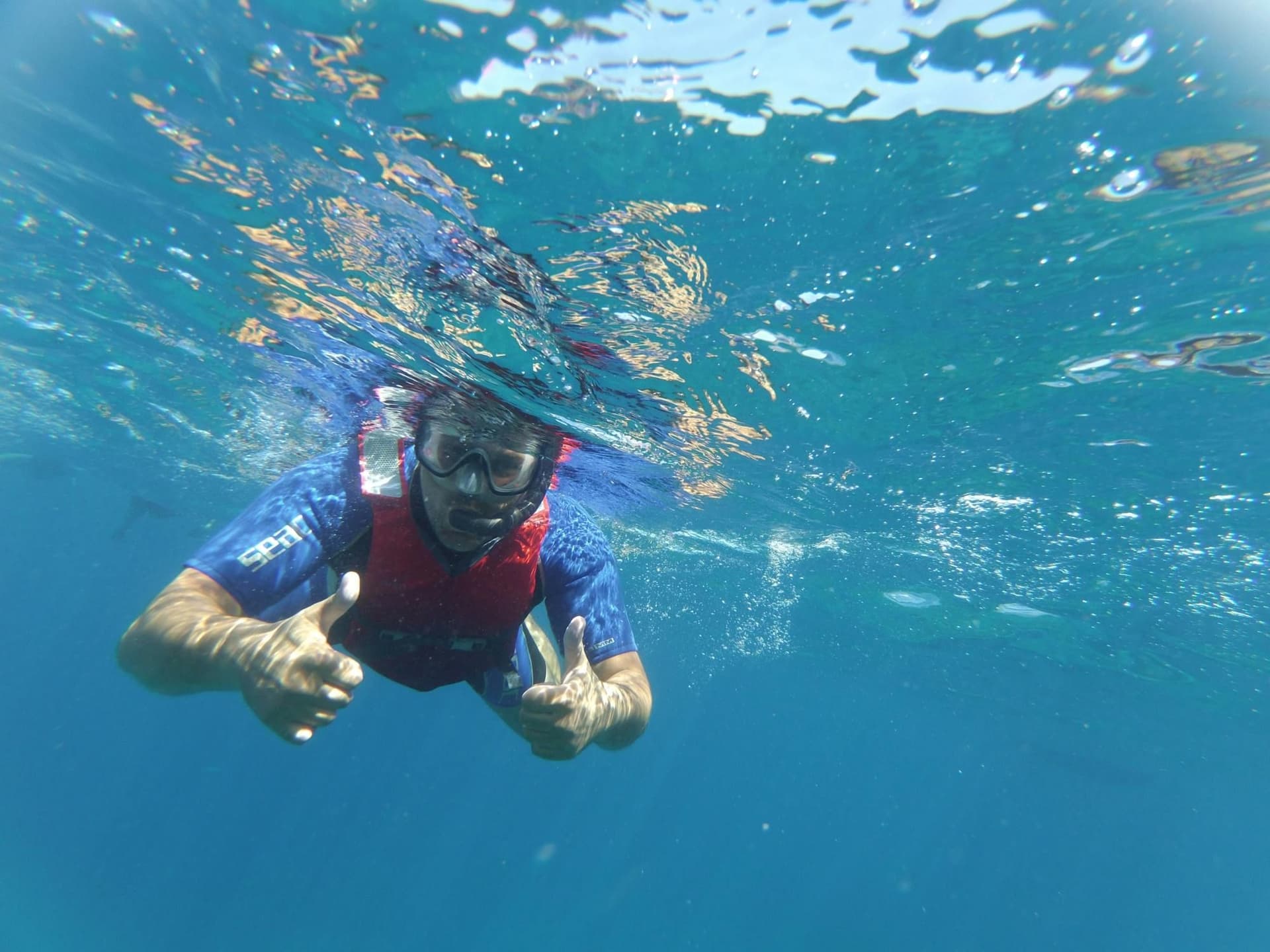 Billet Snorkeling tour in the Bay of Stingrays