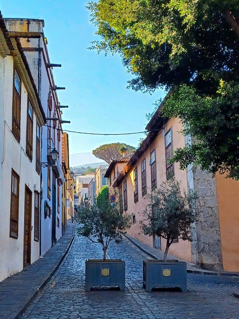 Sites & Saveurs : Icod de los Vinos, bananes et vin de La Orotava