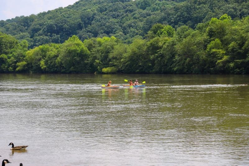 Chattahoochee River Roswell location de kayak