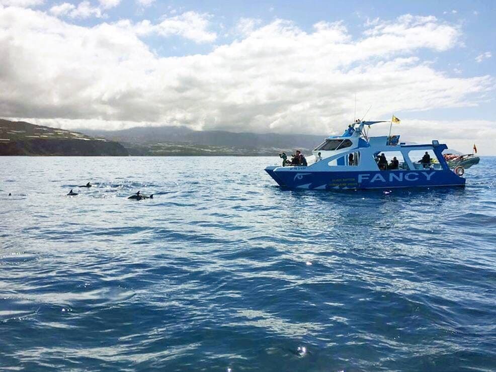 Croisière au nord-ouest de La Palma - billet