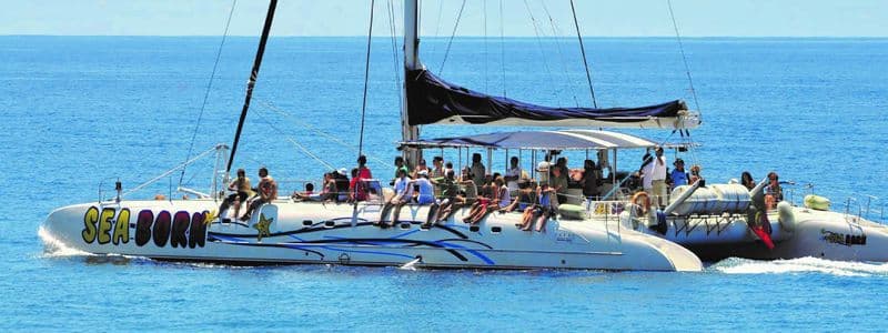 Tour en 4x4 à toit ouvert Arieiro Peak et Cristo Rei avec observation des dauphins