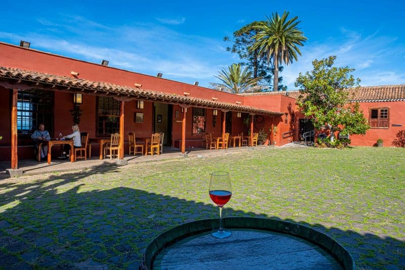 Nat Geo Day Tour : Le vin aux Canaries, une expérience sensorielle