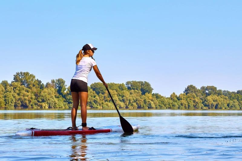 Location de SUP dans l'Alte Donau à Vienne