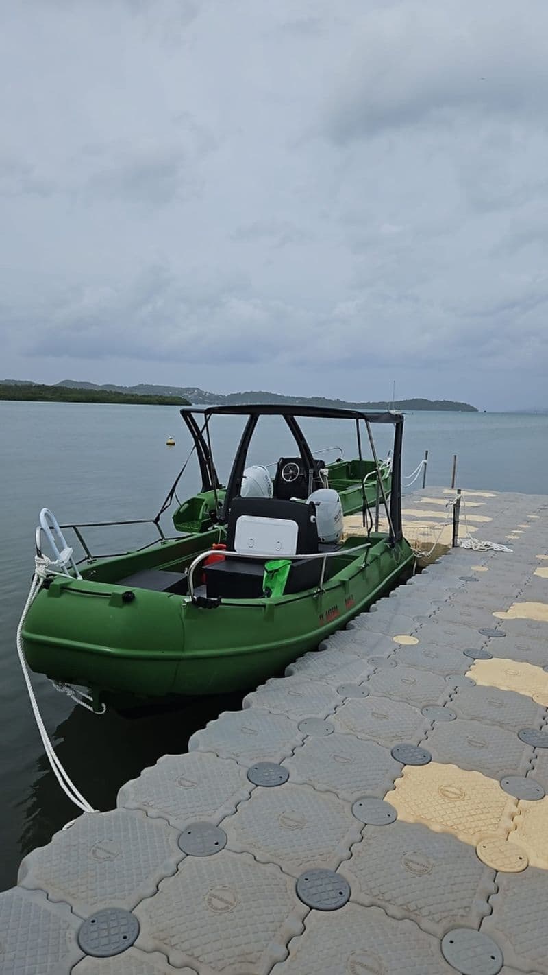 Billet Whaly 500 (Motorboat)