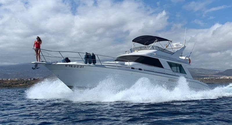 Sea Ray 550 Sedan Bridge (Motorboat)