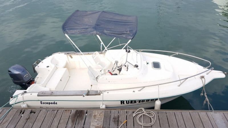 Billet Jeanneau Cap Camarat 615 WA (Motorboat)