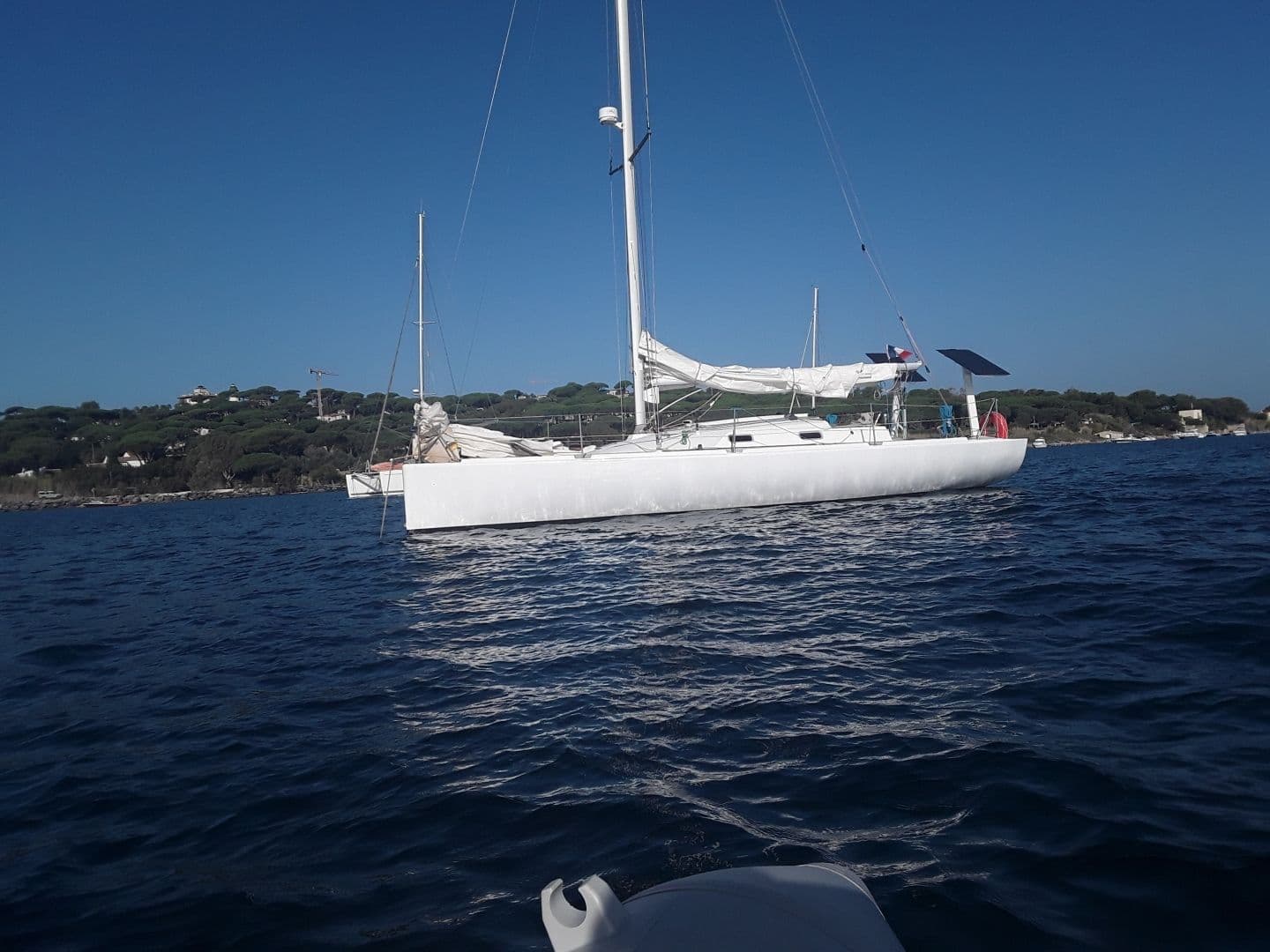 3C COMPOSITE Bongo (Sailboat)