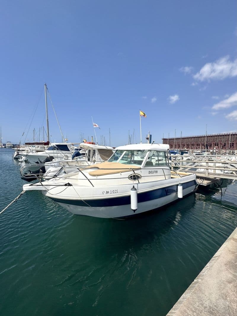 FELCO DELFYN 690 PLUS (Motorboat)