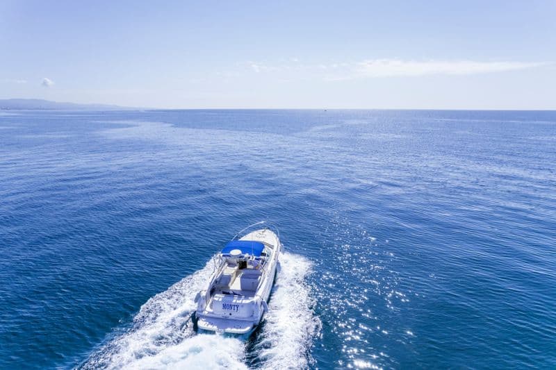 Billet Sea Ray Amberjack 290 (Motorboat)