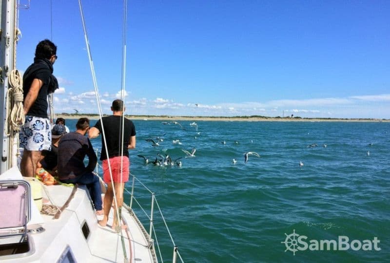 Freedom 12 metres (Sailboat)