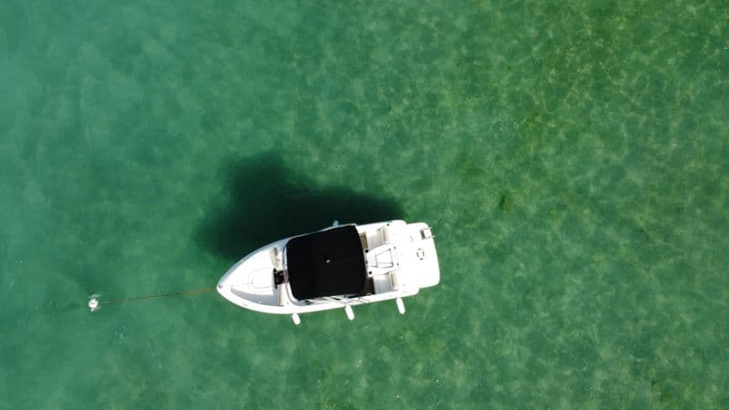 Bayliner 175 BR (Motorboat)