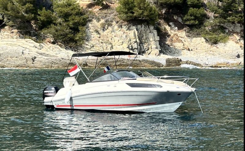 Bayliner VR5 Cuddy (Motorboat)