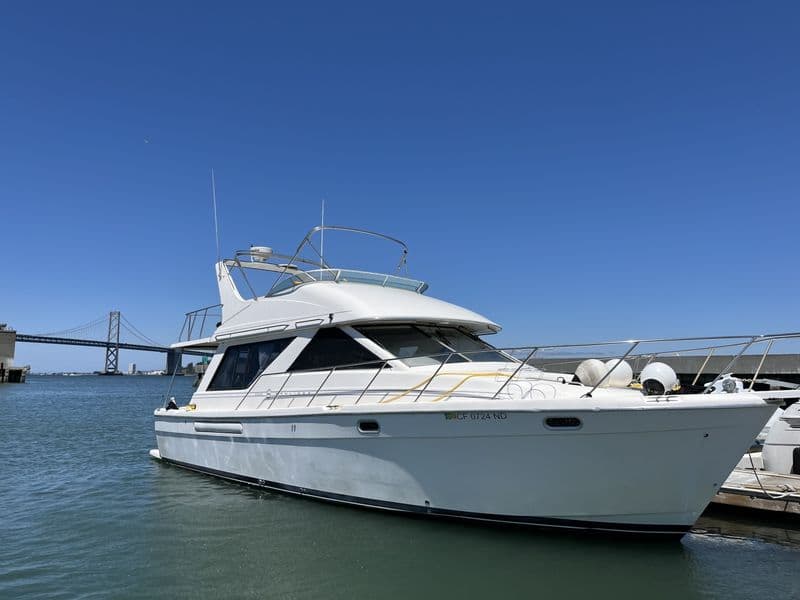 Bayliner 3988 (Motorboat)