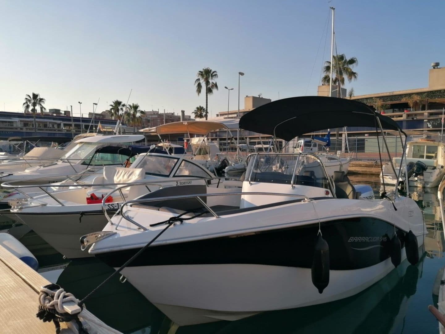 Barracuda 545 (Motorboat)