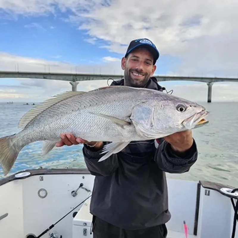 Pêche au Gros à l'Île de Ré