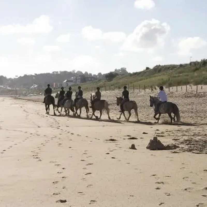 Billet Week-end Balade à Cheval près de Saint-Brieuc
