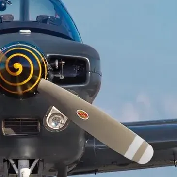 Baptême de Voltige en Avion Militaire à La Roche-sur-Yon