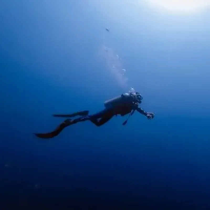 Initiation à la plongée à Sisco