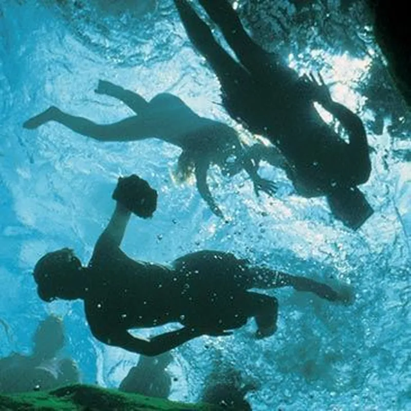 Randonnée Palmée à Quiberon