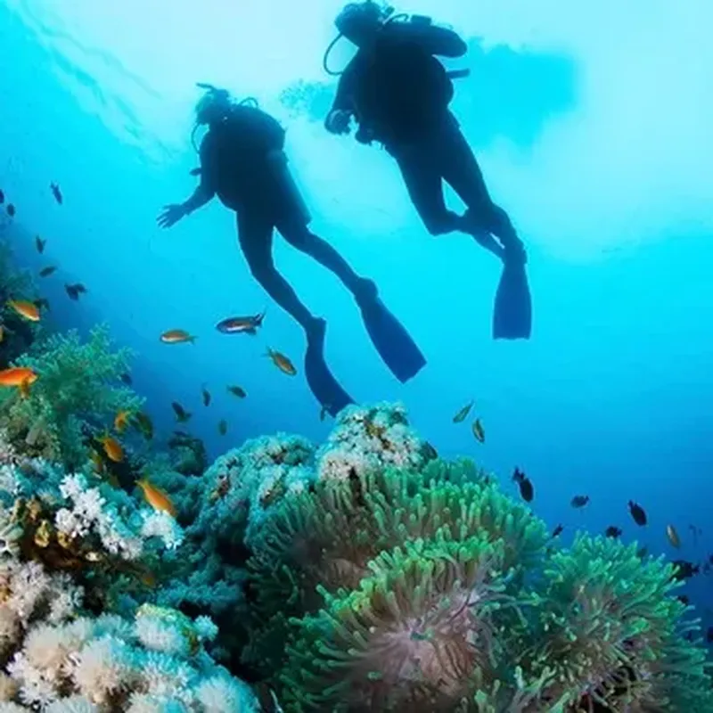 Baptême de Plongée près de Saint Paul à La Réunion