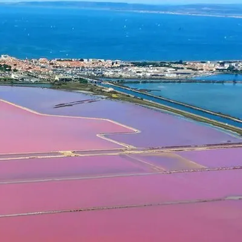 Baptême en ULM Multiaxe - Survol de la Camargue