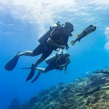 Brevet de Plongée CMAS Niveau 1 à Hyères