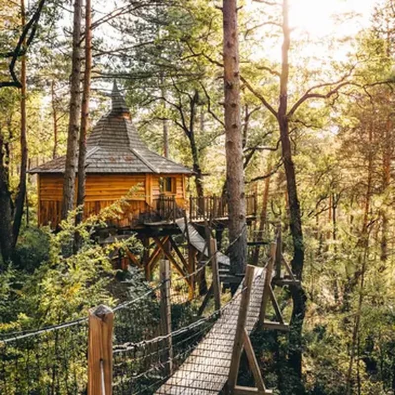 Billet Cabane dans les Arbres avec Spa à Serres
