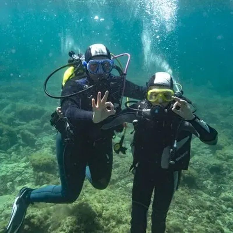 Plongée à Carry-le-Rouet : Calanques de la Côte Bleue