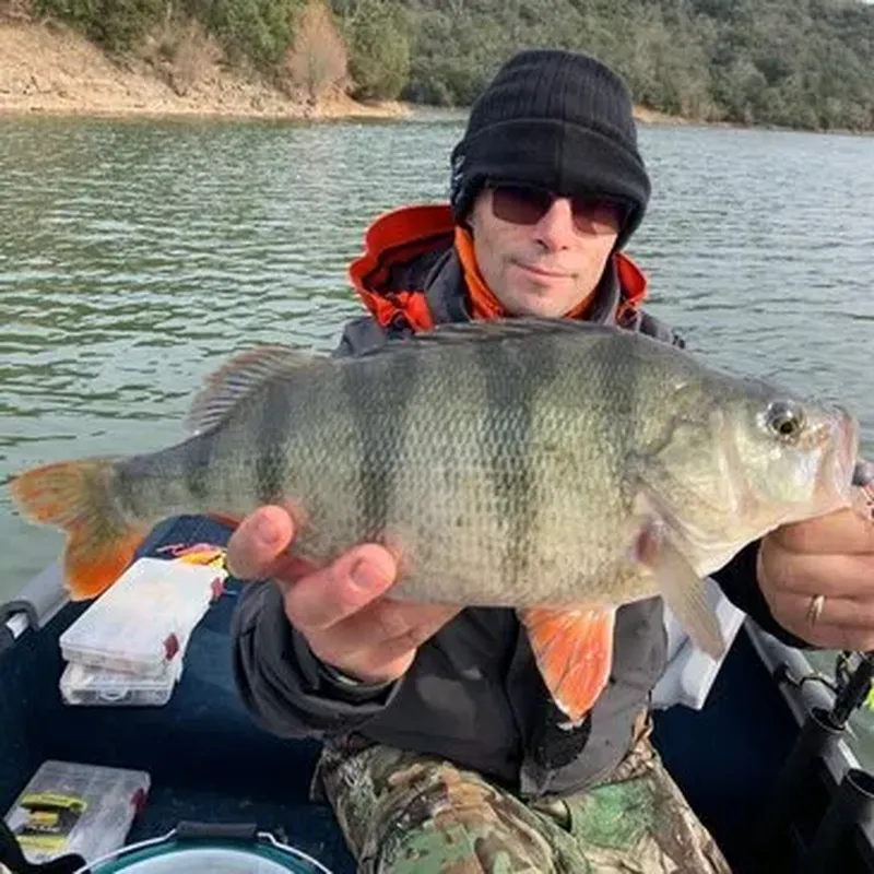 Pêche aux Carnassiers sur le Lac de Saint-Cassien