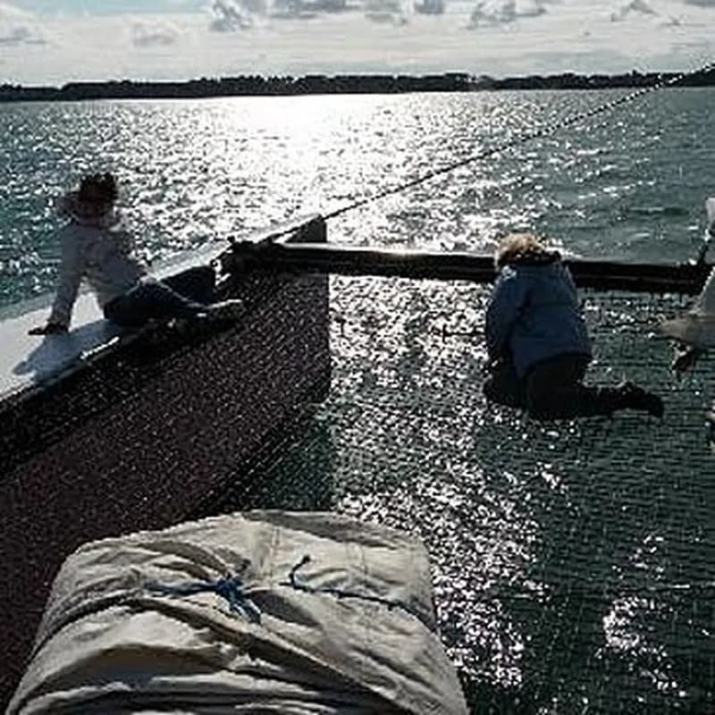 Billet Promenade en catamaran en soirée - îles du Golfe du Morbihan