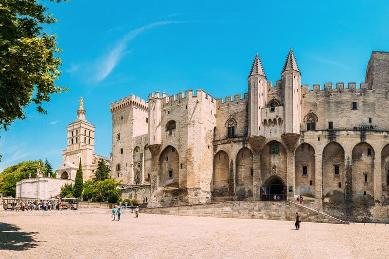 Billet Palais des Papes & Pont d'Avignon : Billet d'entrée