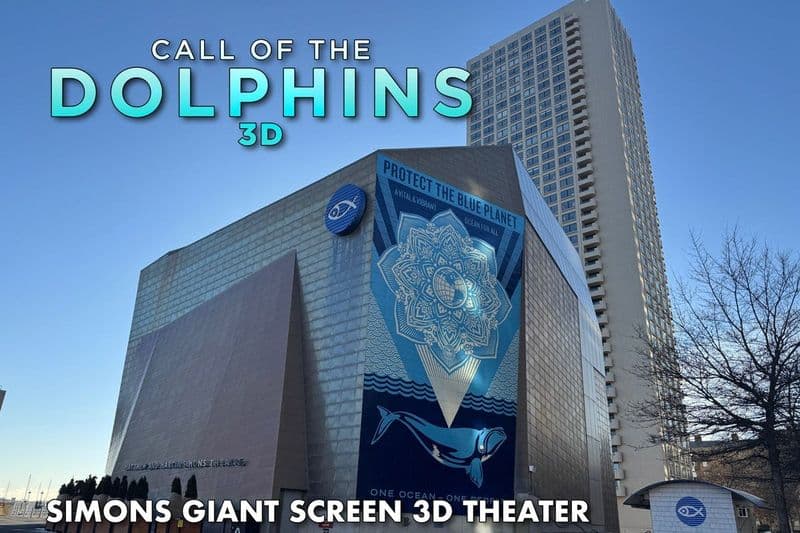 Billet Théâtre Simons : Le film Call of the Dolphins en 3D