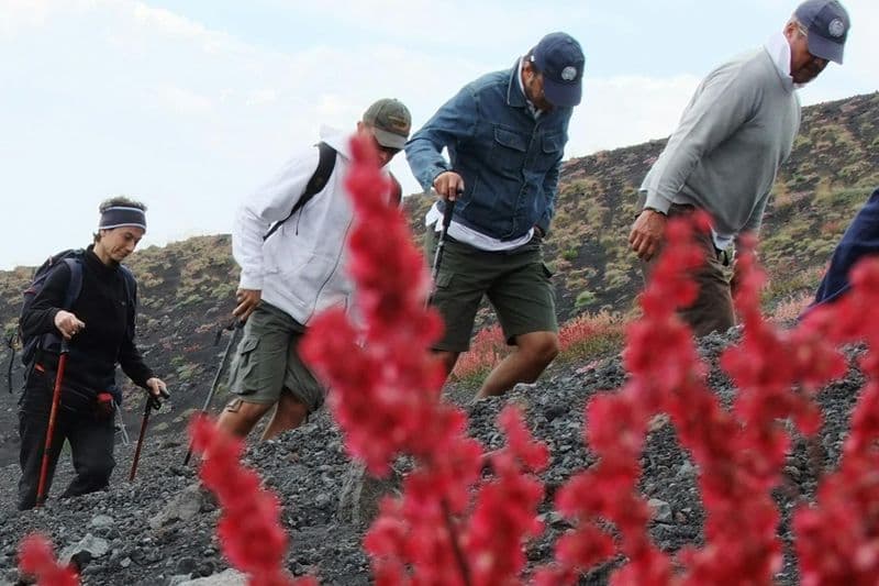 Mont Etna : Excursion depuis Catane