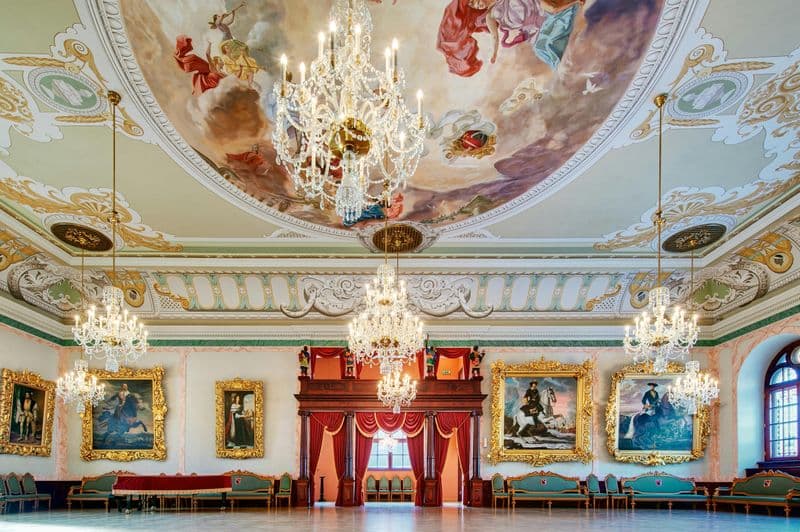 Maison des Têtes Noires : Billet d'entrée