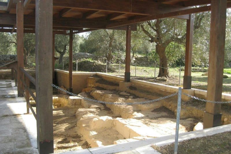 Villa Castelli : visite à pied avec dégustation d'huile d'olive