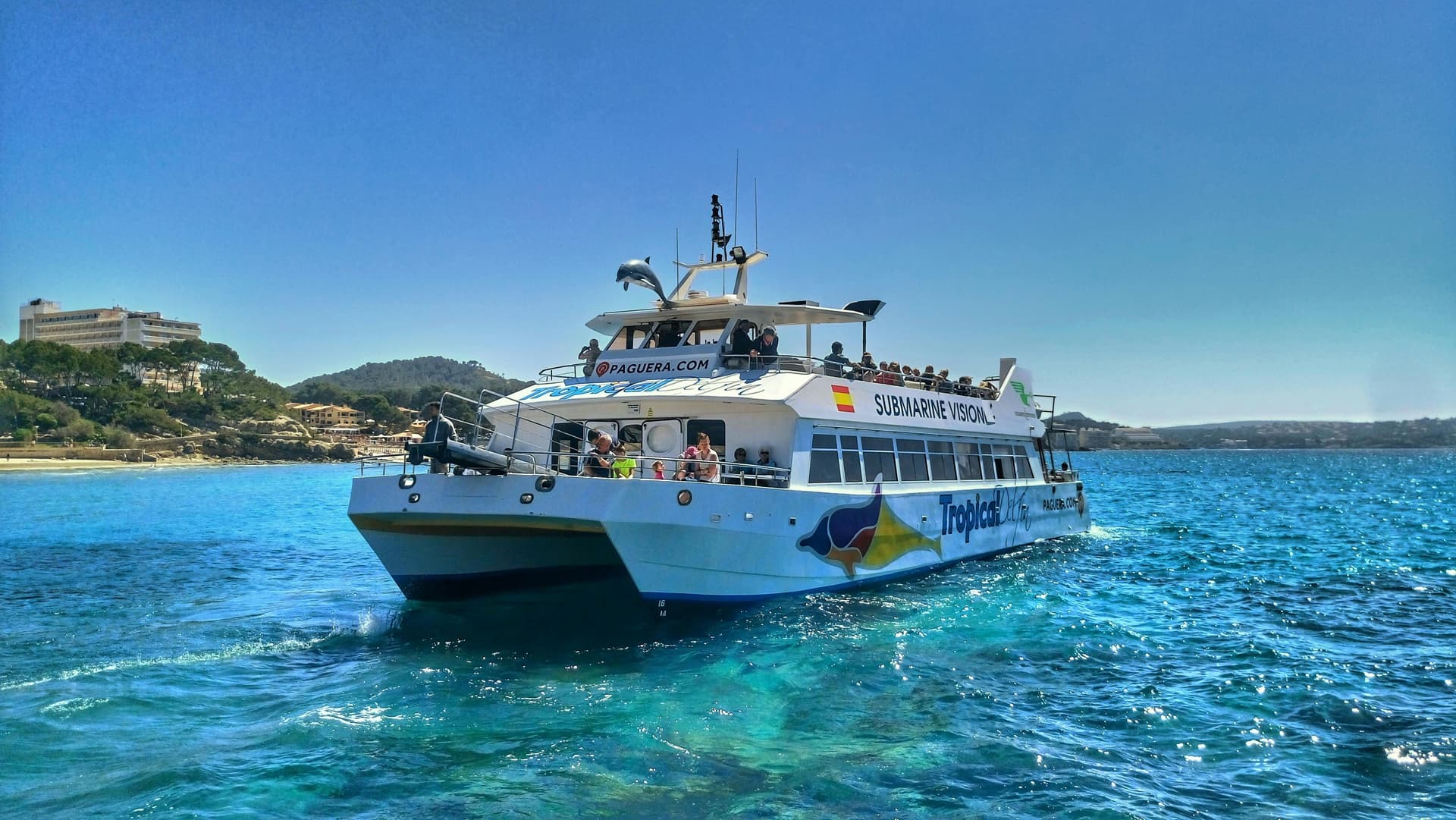 Santa Ponsa : Excursion de 3 heures en bateau pour observer les dauphins
