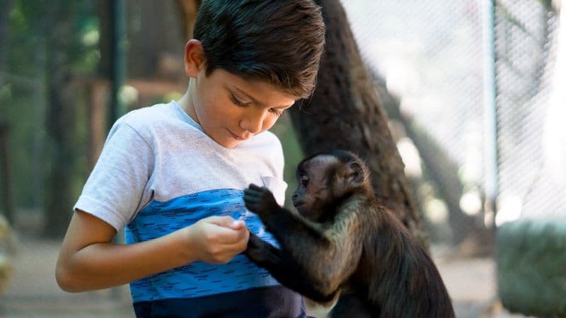 Circuit en VTT dans la jungle des singes