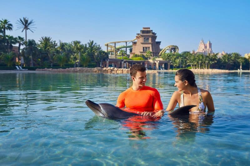 Le monde de l'aquaventure : Pass journée parc aquatique + L'expérience des dauphins
