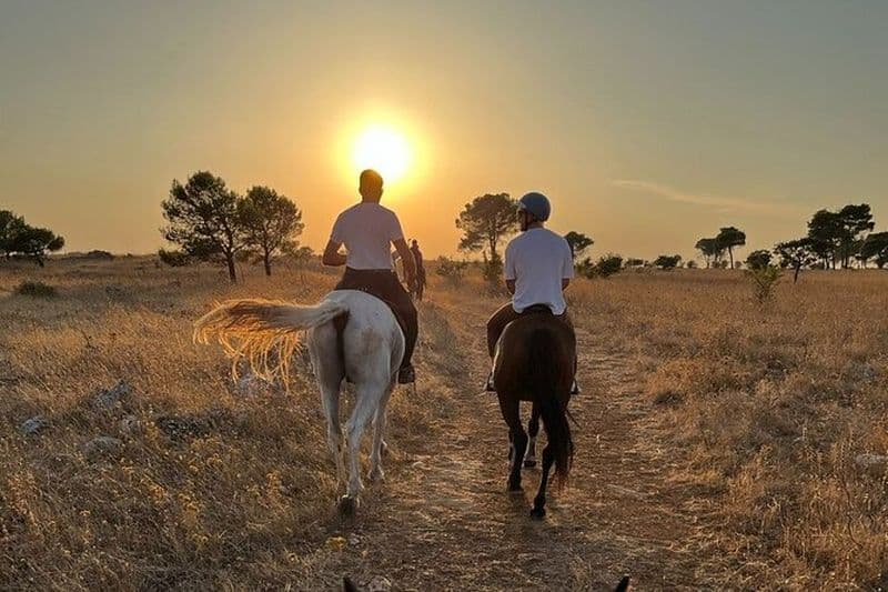 Matera : balade à cheval au coucher du soleil sur le parc Murgia
