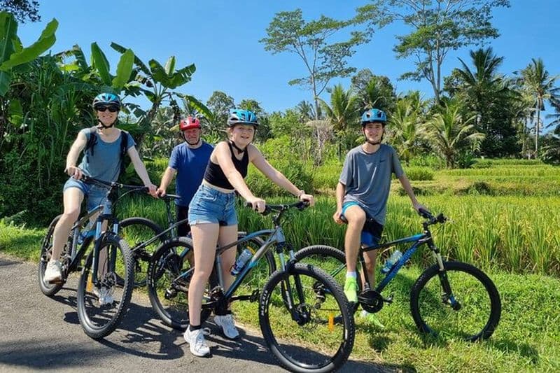 Billet Ubud : descente à vélo avec volcan, rizières en terrasses et repas